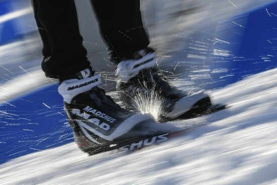 Биатлон. Чемпионат Европы. Тренировки