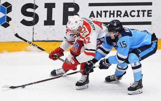 Хоккей. КХЛ. Матч "Сибирь" - "Автомобилист"