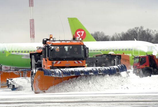 Аэропорт Домодедово 