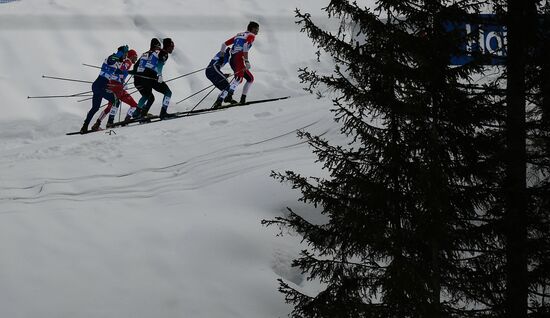 Лыжные гонки. Чемпионат мира. Мужчины. Спринт
