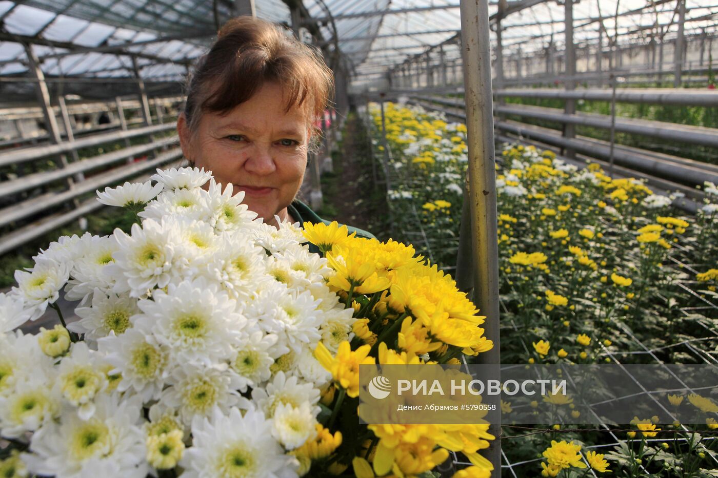 Сбор цветов к 8 Марта в Ставропольском крае