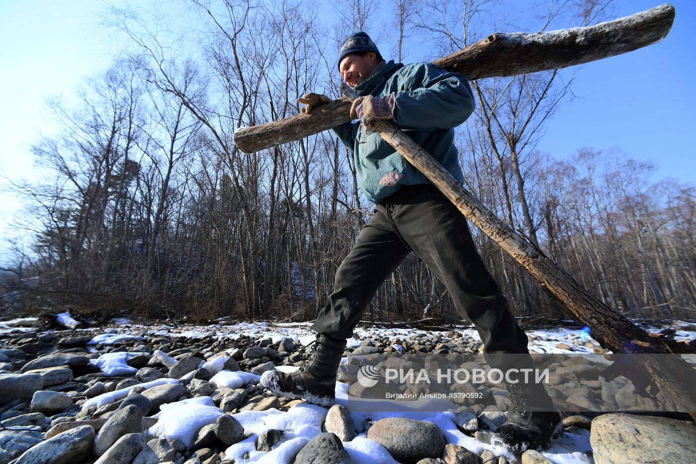Сбор валежника в Приморье