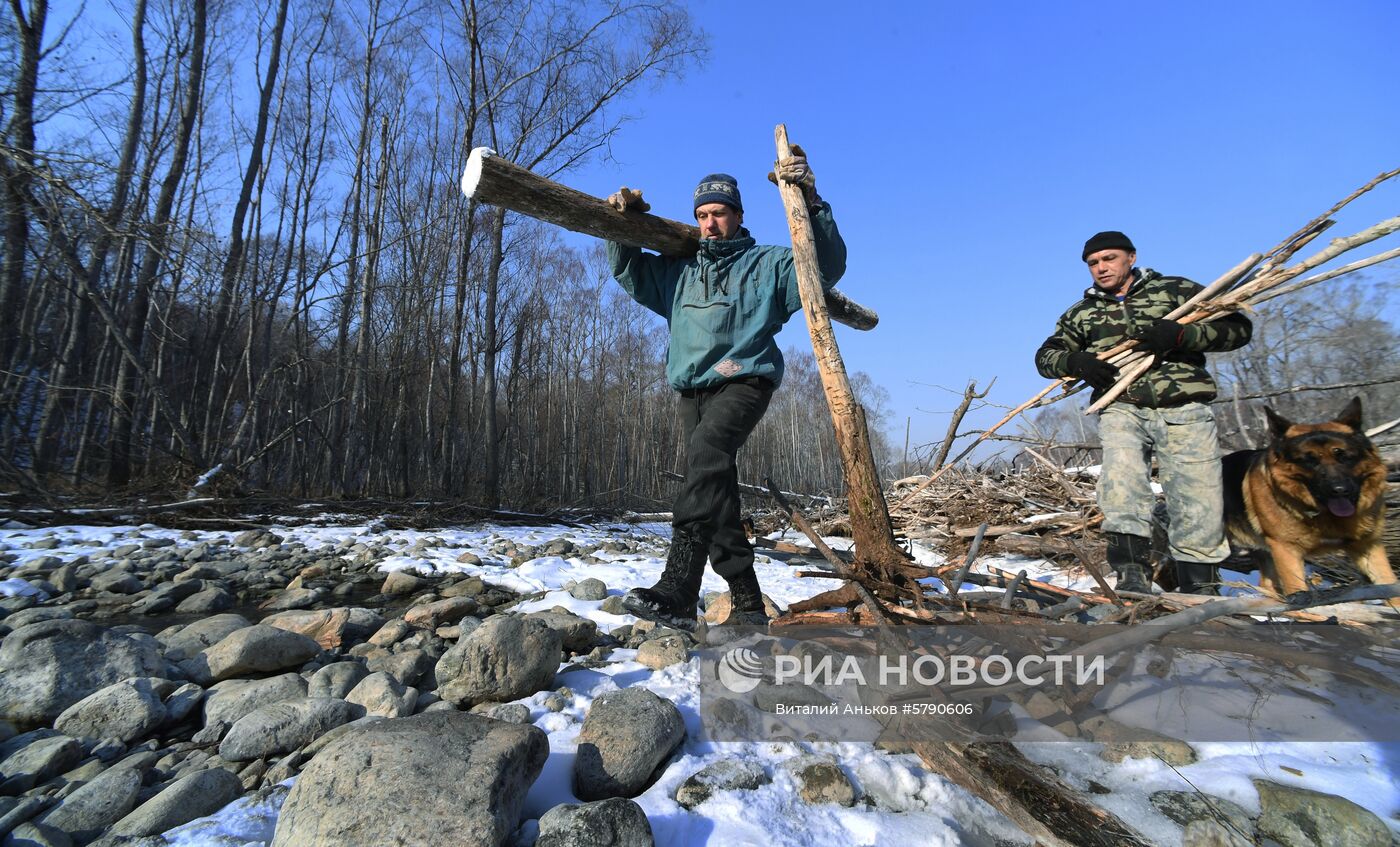 Сбор валежника в Приморье