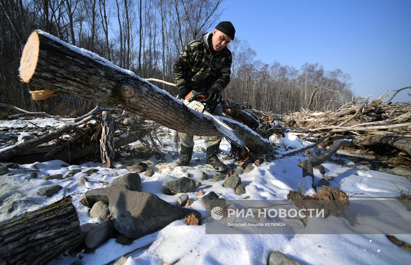 Сбор валежника в Приморье