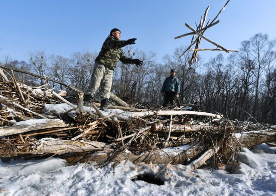 Сбор валежника в Приморье