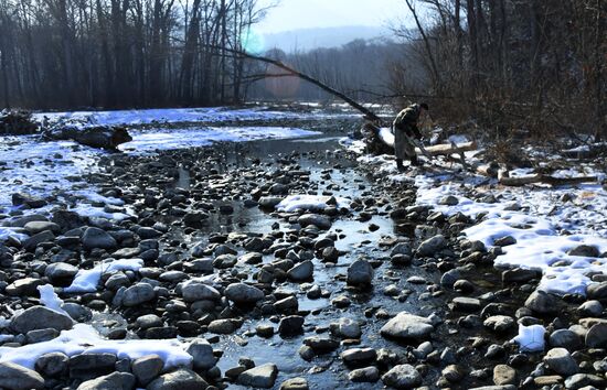 Сбор валежника в Приморье