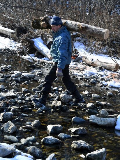 Сбор валежника в Приморье