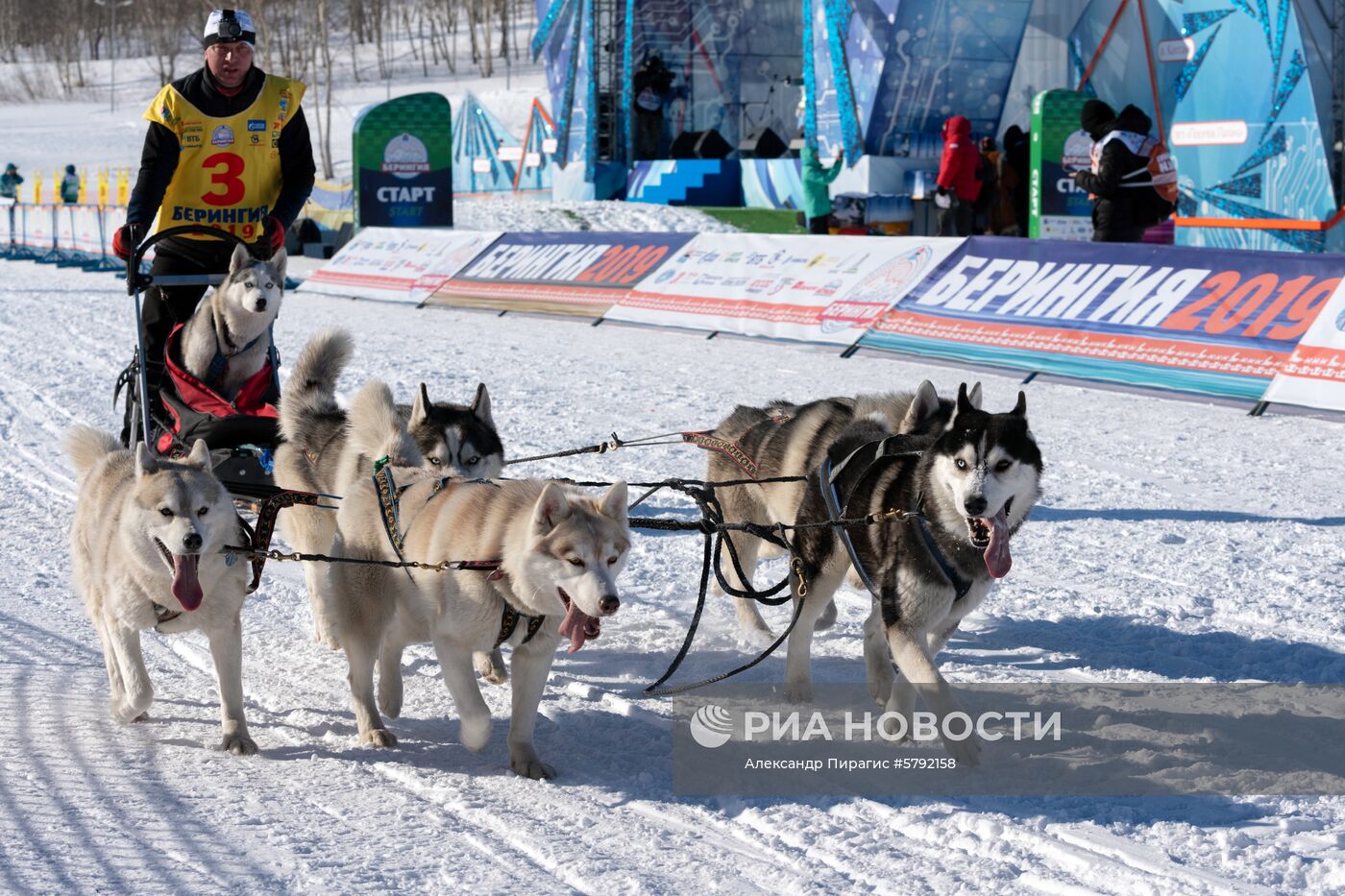 Открытие гонки на собачьих упряжках "Берингия-2019" на Камчатке
