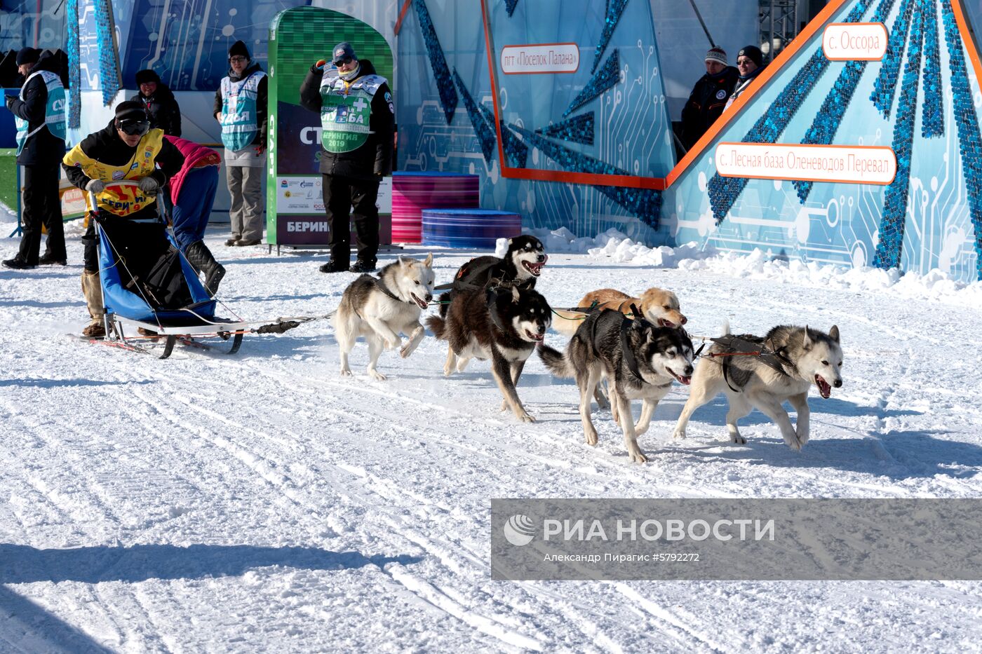 Открытие гонки на собачьих упряжках "Берингия-2019" на Камчатке