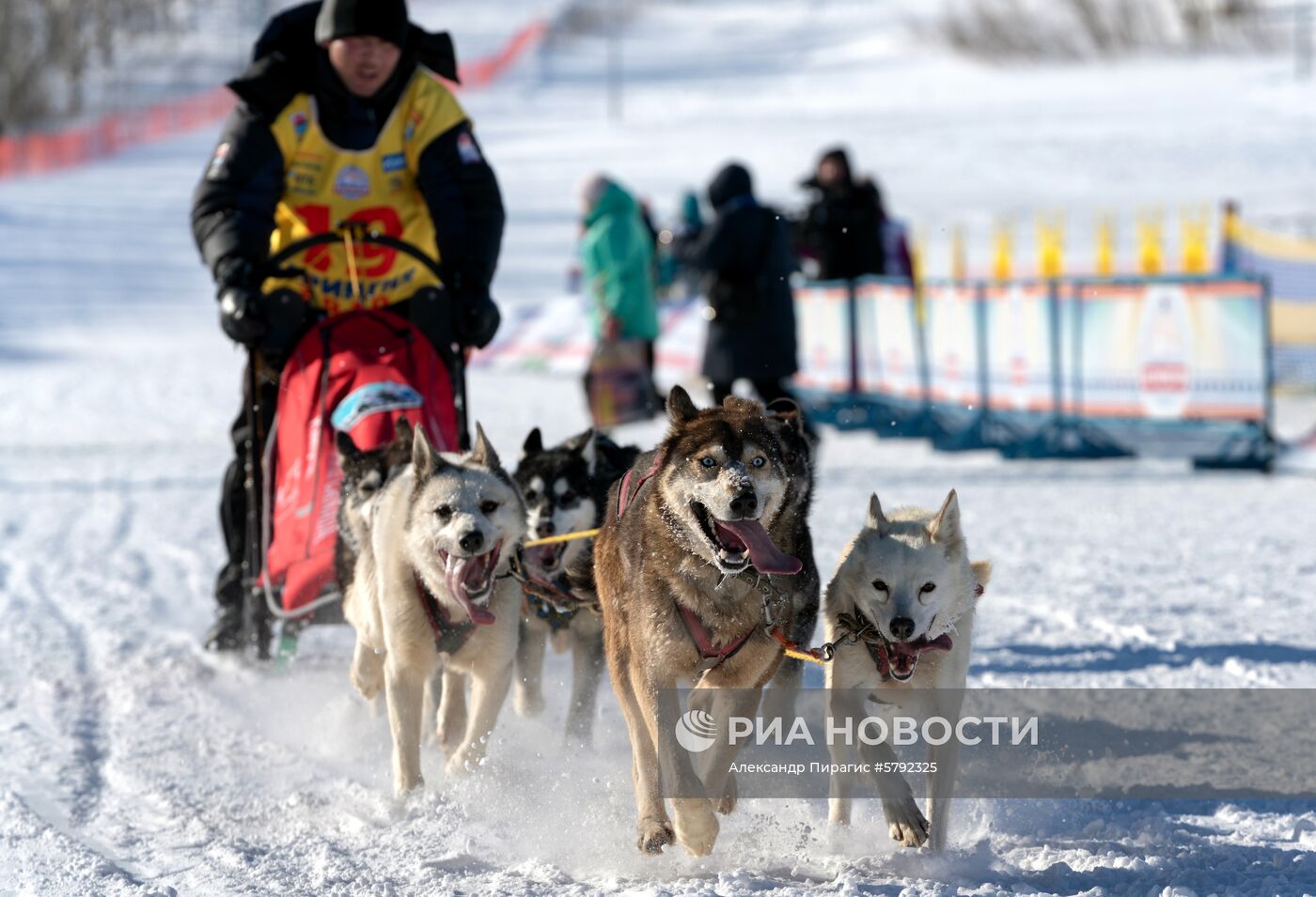 Открытие гонки на собачьих упряжках "Берингия-2019" на Камчатке