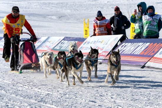 Открытие гонки на собачьих упряжках "Берингия-2019" на Камчатке