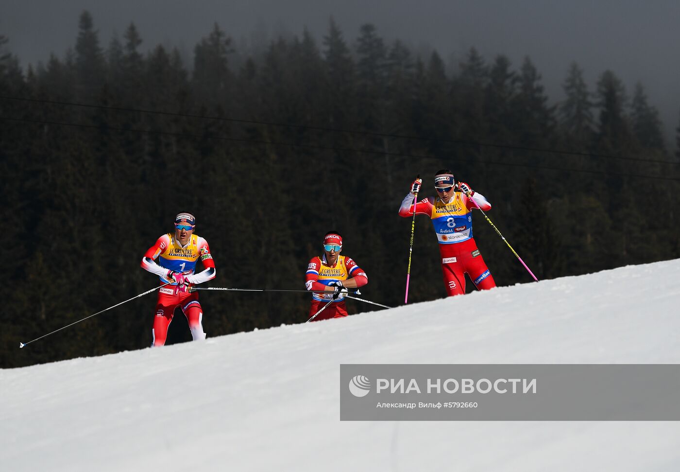 Лыжные гонки. Чемпионат мира. Женщины. Скиатлон