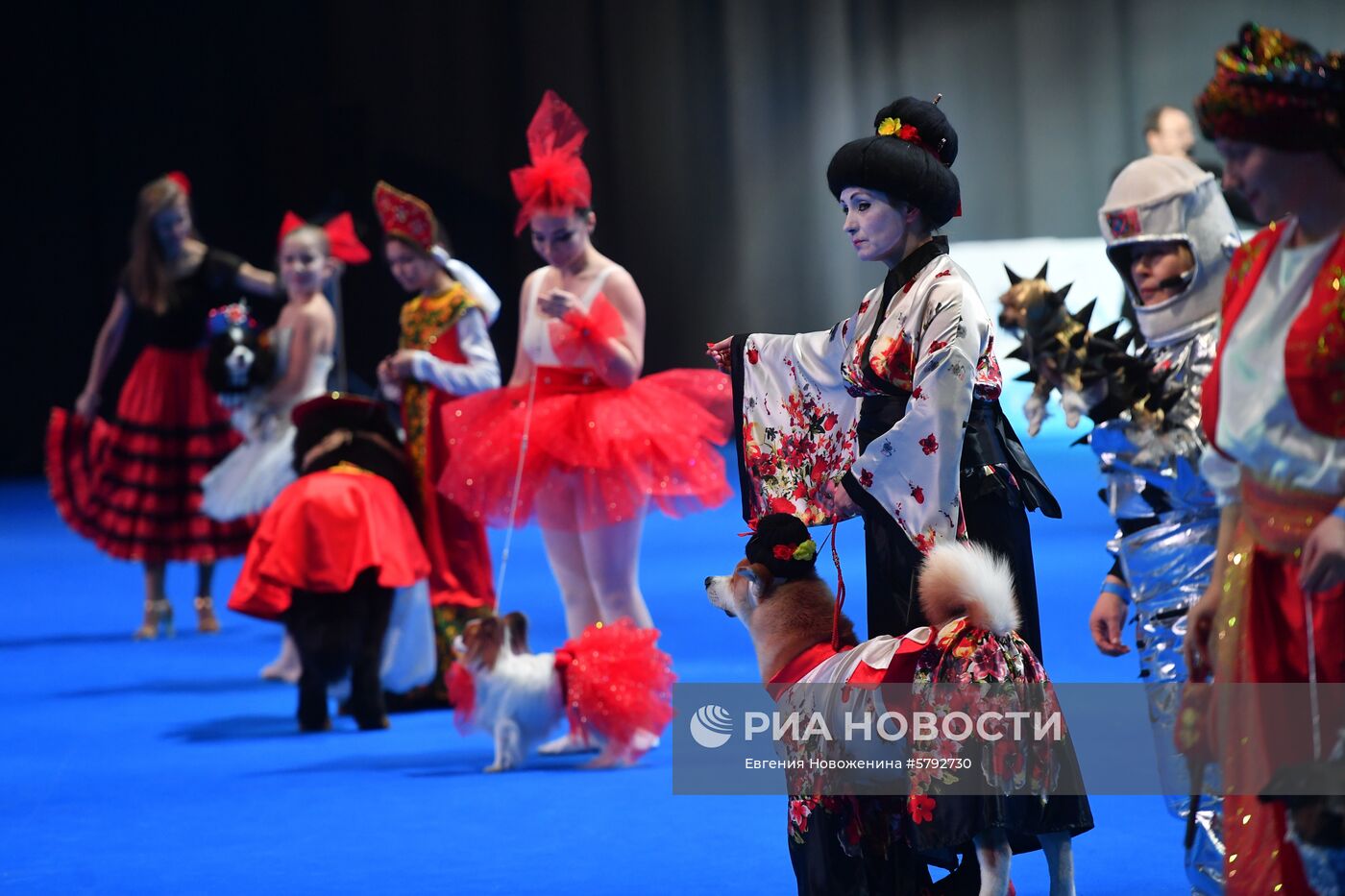 Выставка собак "Евразия-2019"