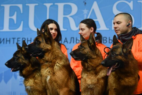 Выставка собак "Евразия-2019"