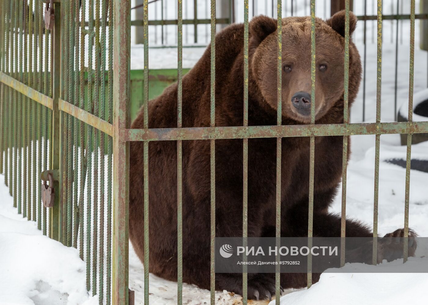 Российский карантинный центр диких животных "Велес" 