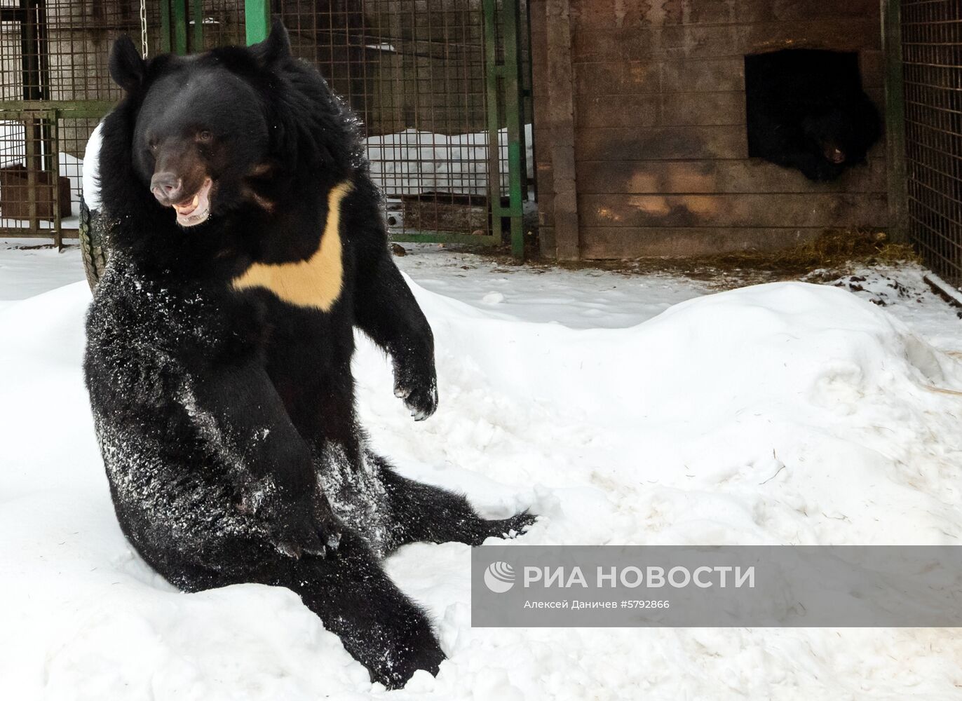 Российский карантинный центр диких животных "Велес" 