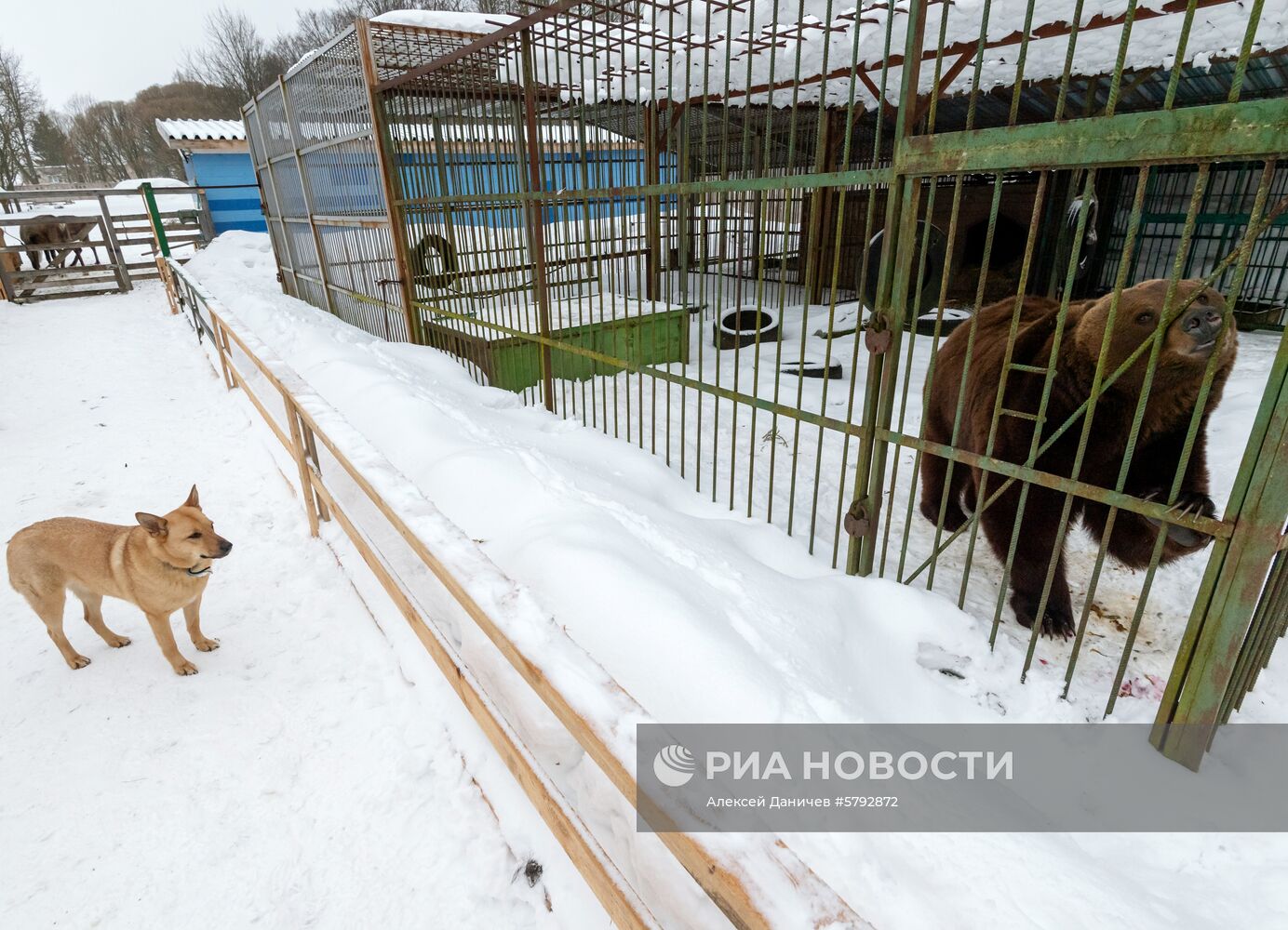 Российский карантинный центр диких животных "Велес" 