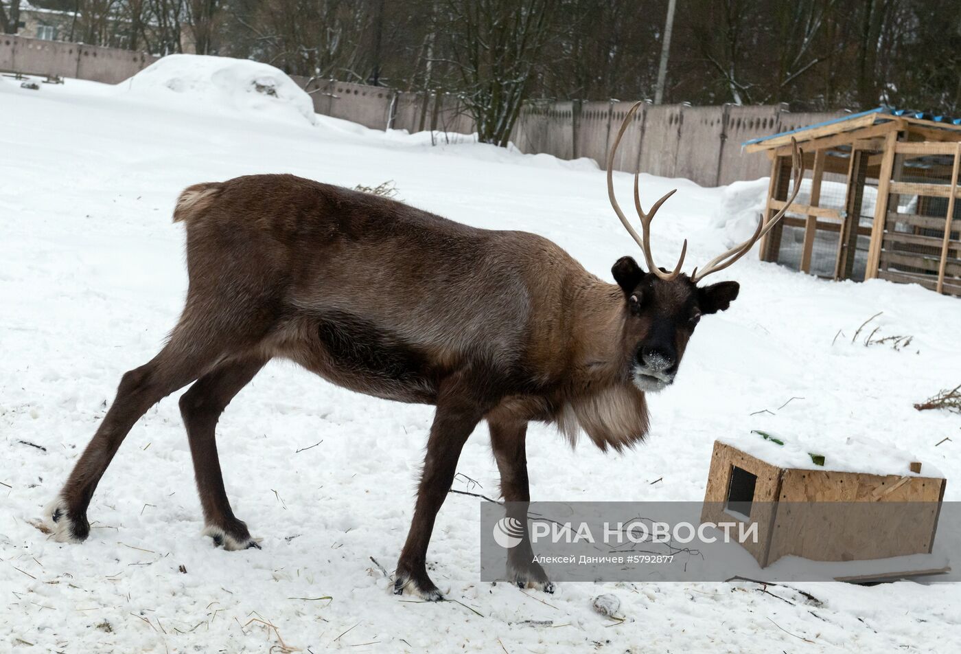 Российский карантинный центр диких животных "Велес" 