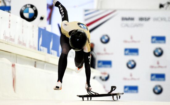 Скелетон. Кубок мира. Восьмой этап. Женщины