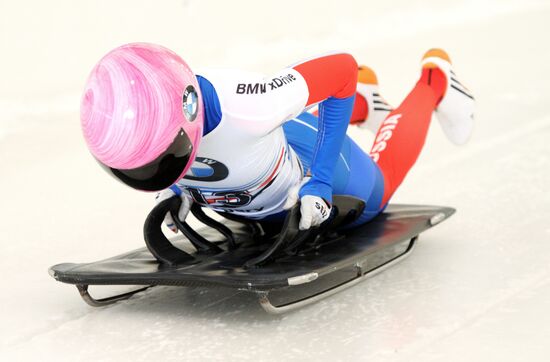 Скелетон. Кубок мира. Восьмой этап. Женщины