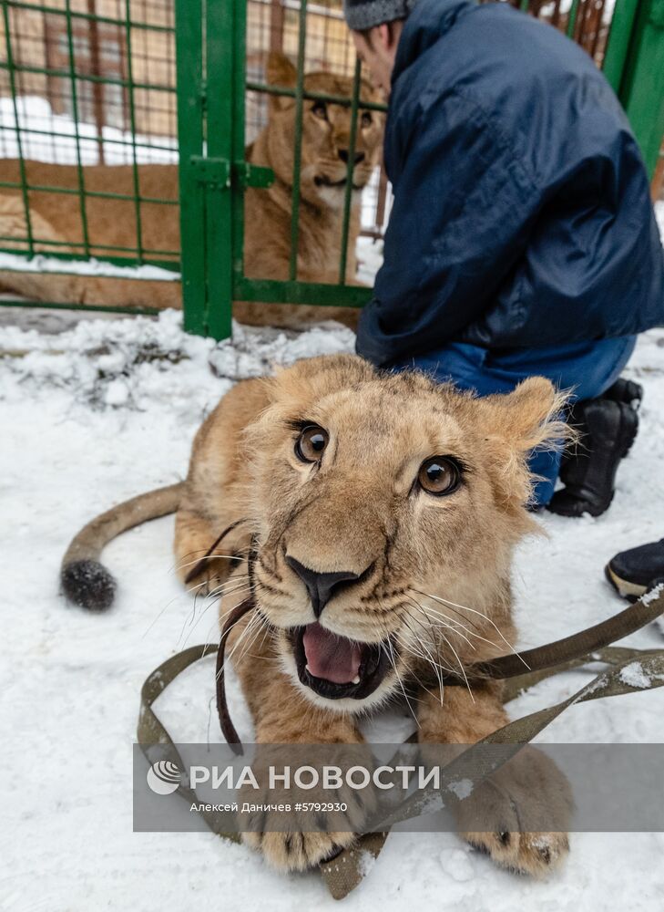 Российский карантинный центр диких животных "Велес" 