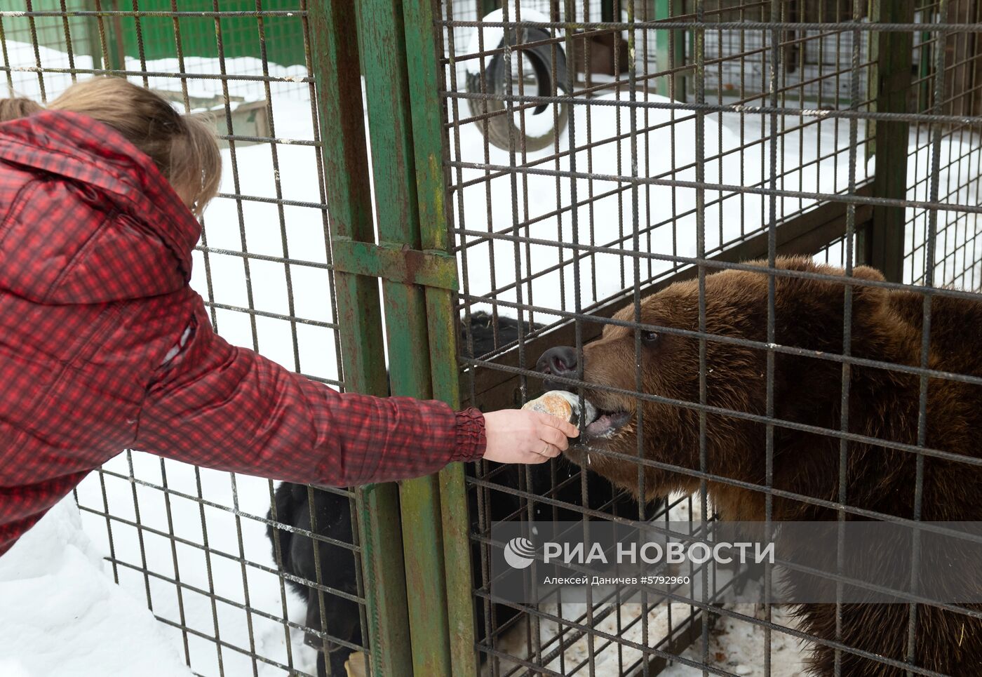 Российский карантинный центр диких животных "Велес" 