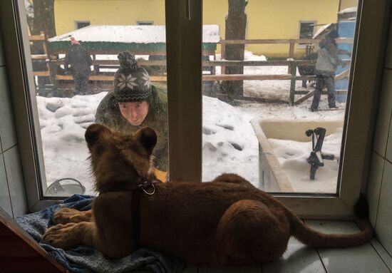 Российский карантинный центр диких животных "Велес" 