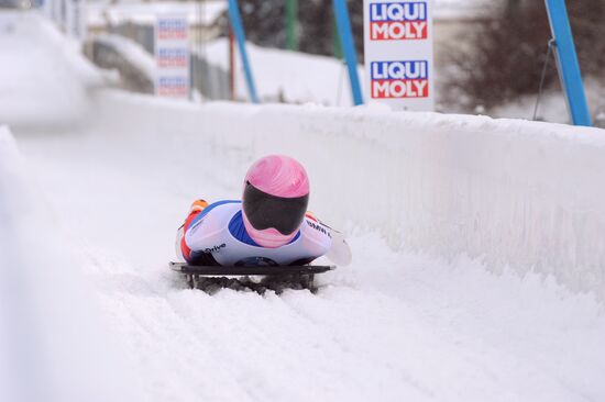 Скелетон. Кубок мира. Восьмой этап. Женщины
