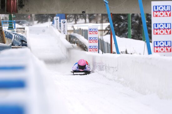 Скелетон. Кубок мира. Восьмой этап. Женщины