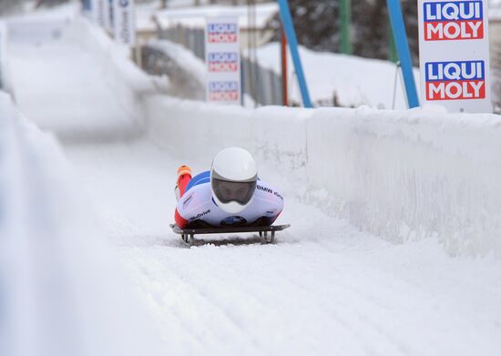 Скелетон. Кубок мира. Восьмой этап. Женщины
