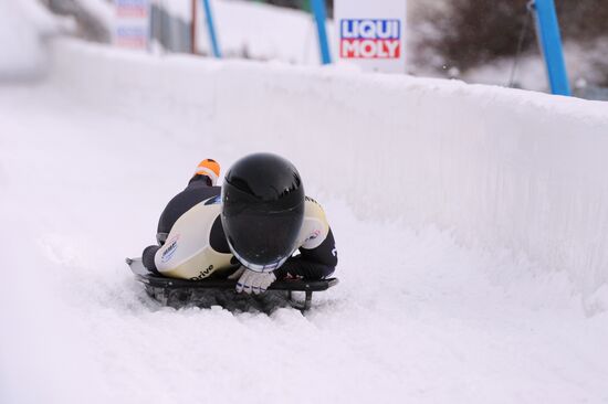 Скелетон. Кубок мира. Восьмой этап. Женщины