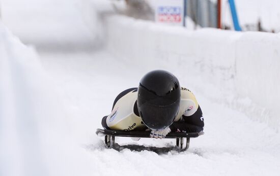 Скелетон. Кубок мира. Восьмой этап. Женщины