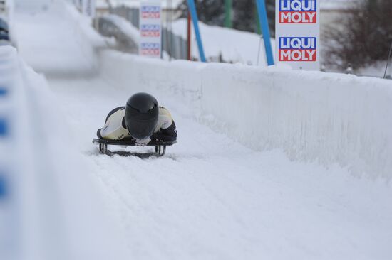 Скелетон. Кубок мира. Восьмой этап. Женщины