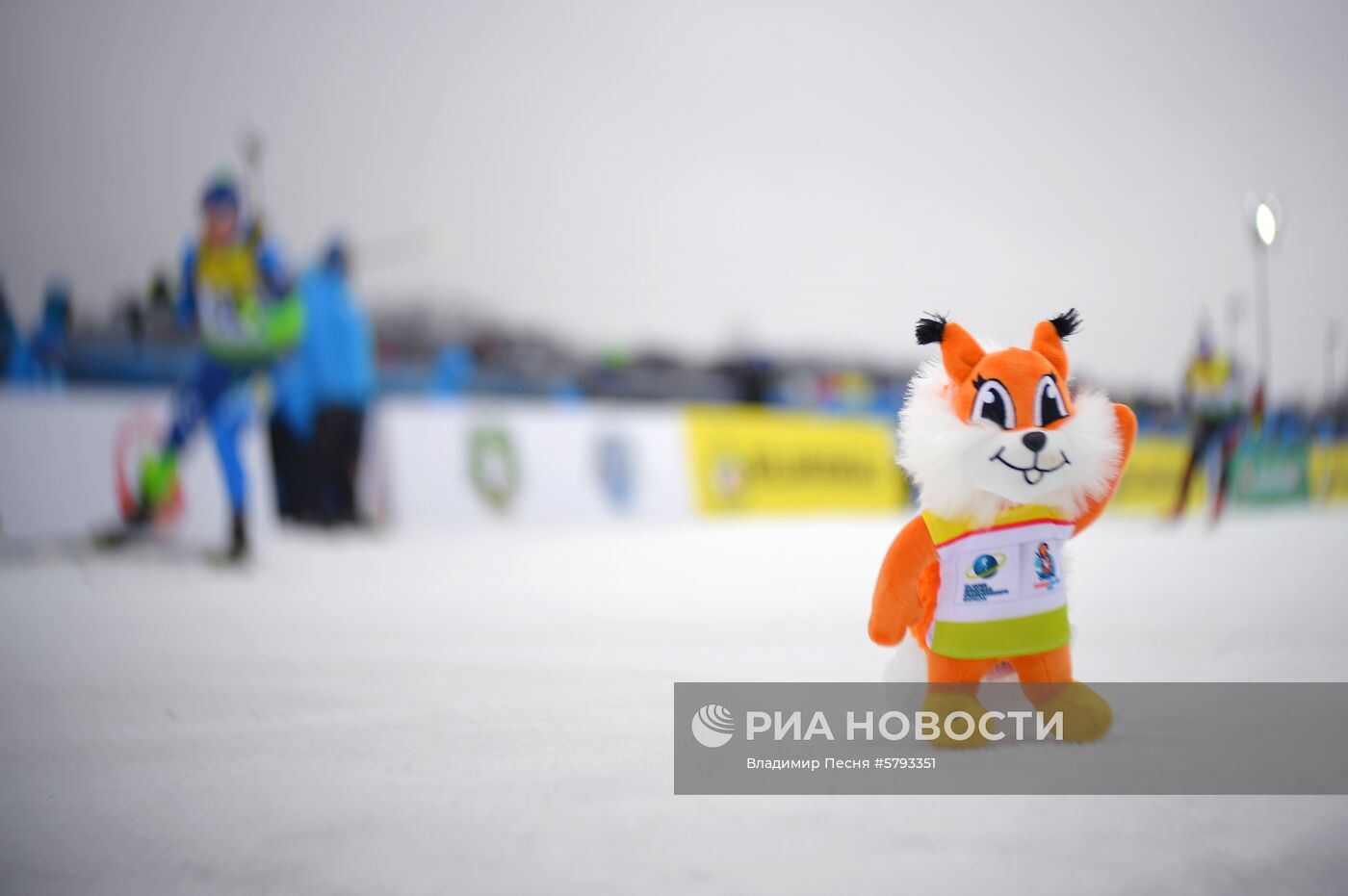 Биатлон. Чемпионат Европы. Мужчины. Гонка преследования