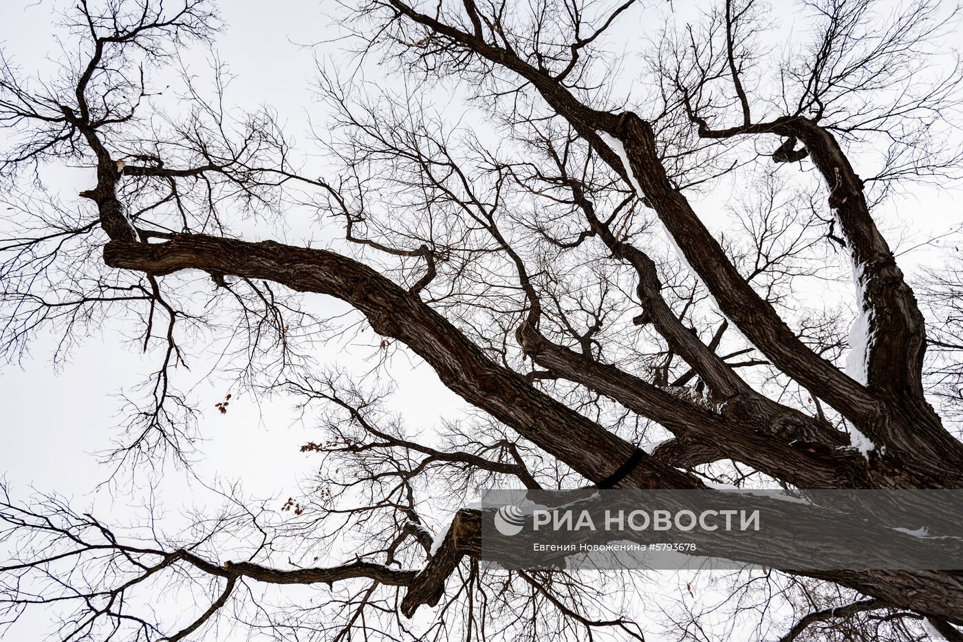 Музей-заповедник "Абрамцево"