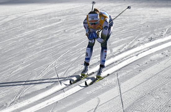 Лыжные гонки. Чемпионат мира. Женщины. 10 км