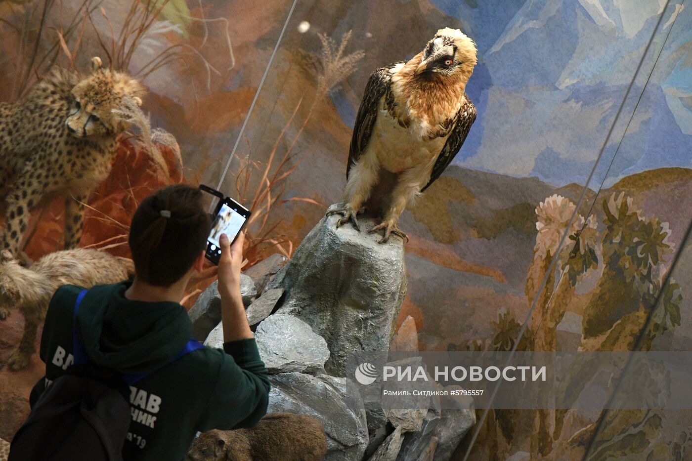 Дарвиновский музей в Москве | РИА Новости Медиабанк