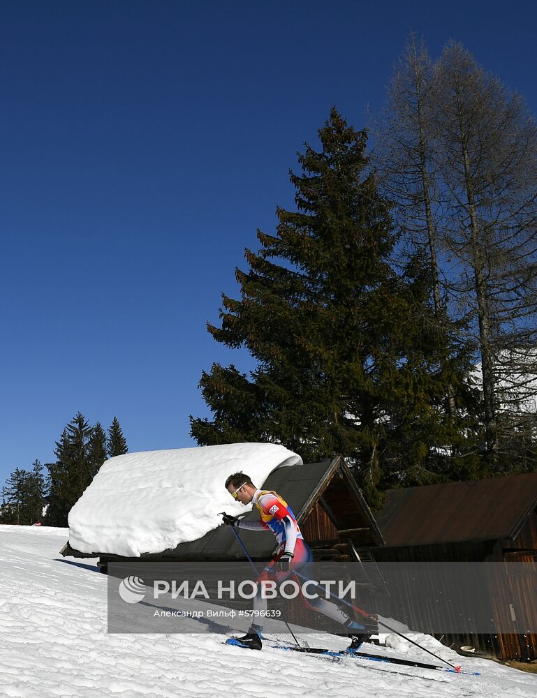 Лыжные гонки. Чемпионат мира. Мужчины. 15 км