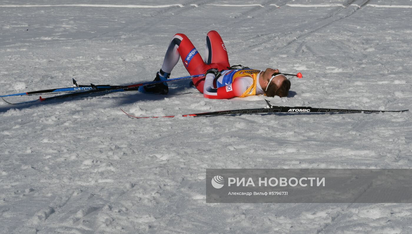 Лыжные гонки. Чемпионат мира. Мужчины. 15 км