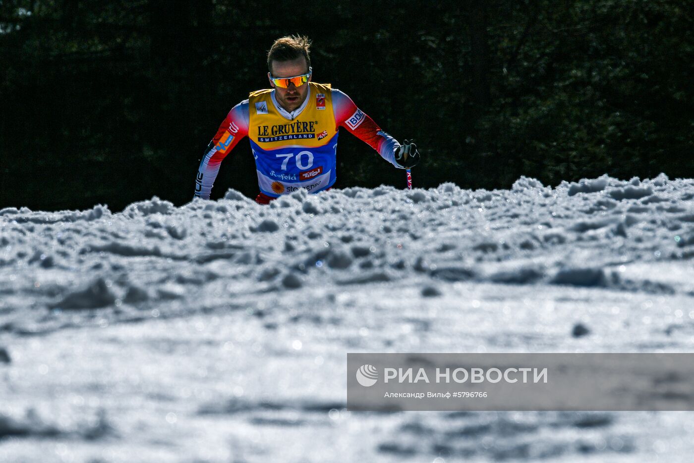 Лыжные гонки. Чемпионат мира. Мужчины. 15 км