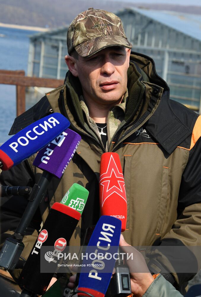 Косатки в приморской бухте Средняя