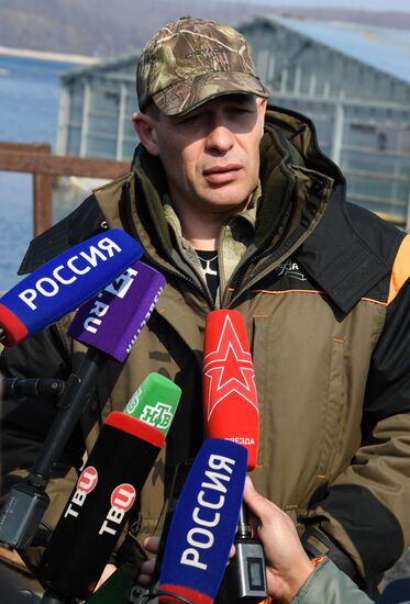 Косатки в приморской бухте Средняя 