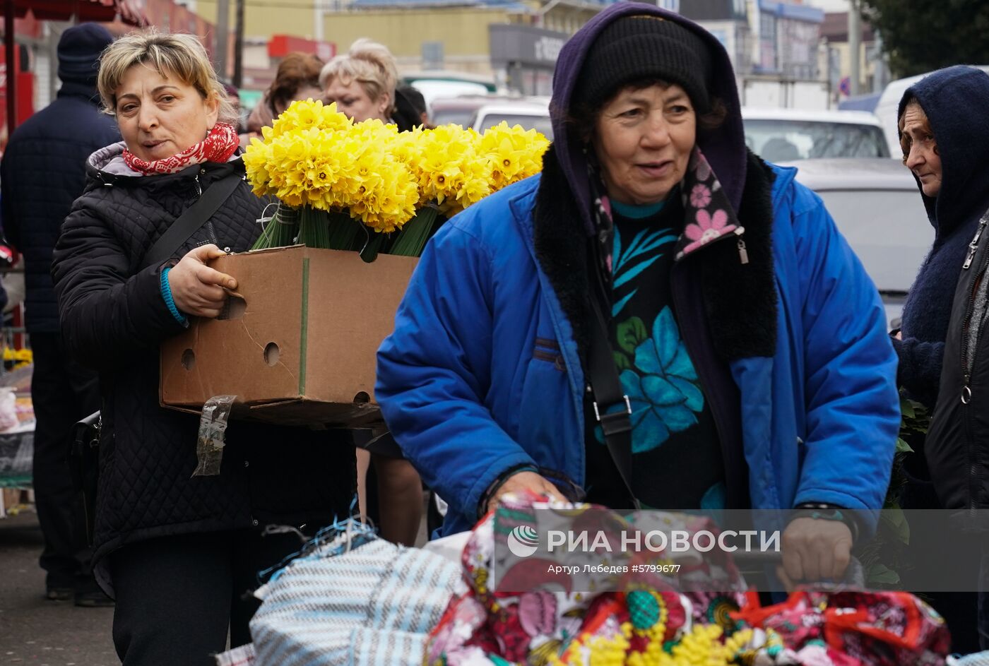 Продажа мимозы в Сочи