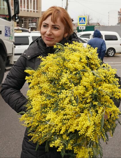 Продажа мимозы в Сочи