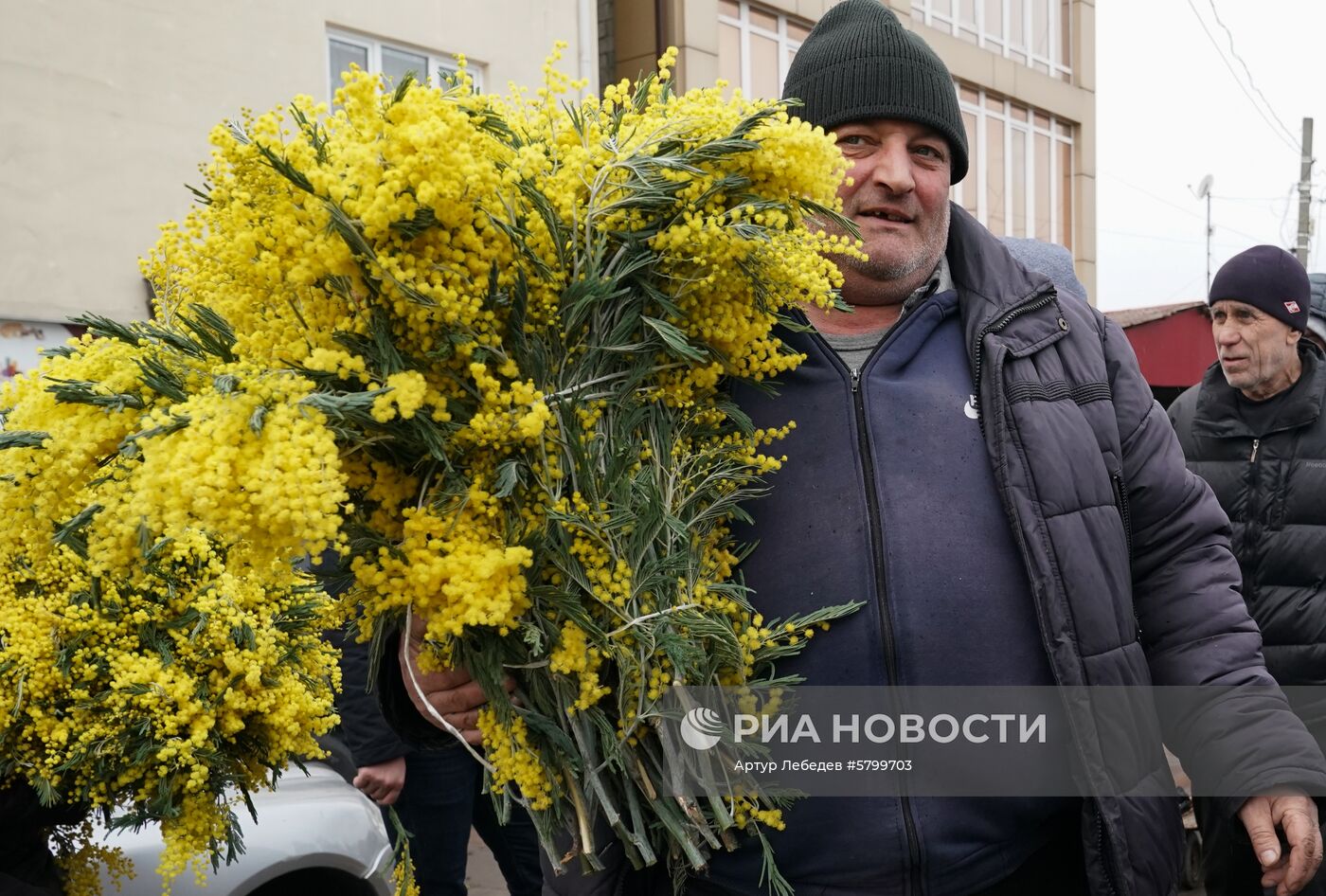 Продажа мимозы в Сочи