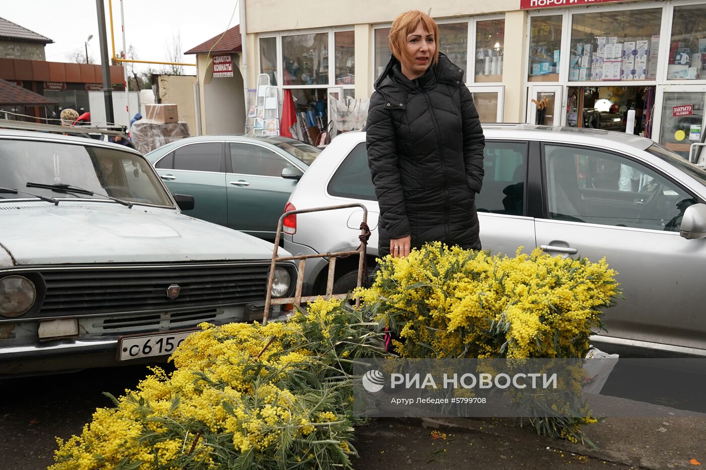 Продажа мимозы в Сочи