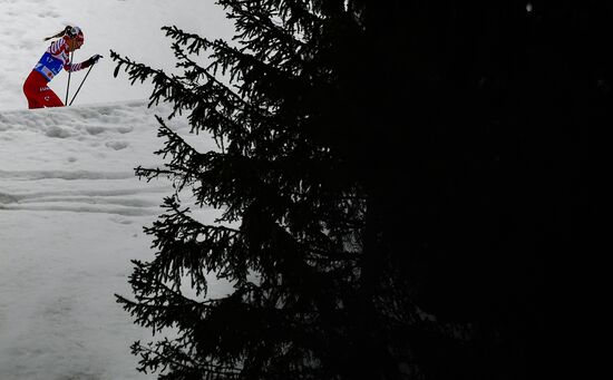 Лыжные гонки. Чемпионат мира. Женщины. Масс-старт