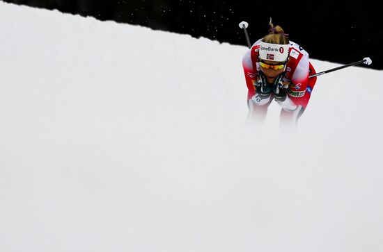 Лыжные гонки. Чемпионат мира. Женщины. Масс-старт