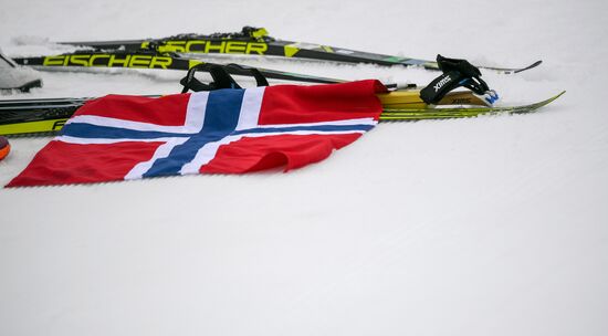 Лыжные гонки. Чемпионат мира. Женщины. Масс-старт