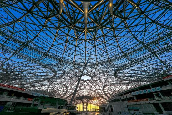 Новый международный аэропорт Пекина "Дасин"